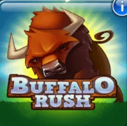 Buffalo Rush